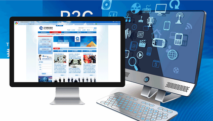 网络营销与网络推广 数字时代的双引擎